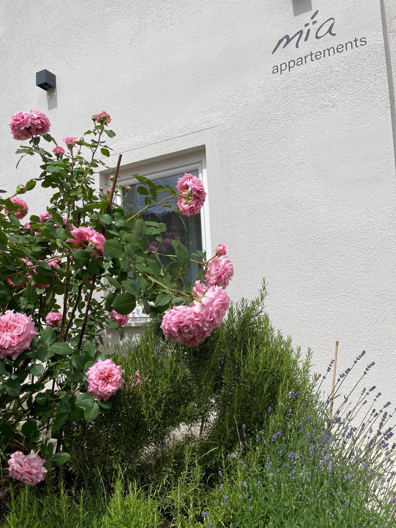 Mia Appartements Innsbruck Eksteriør billede